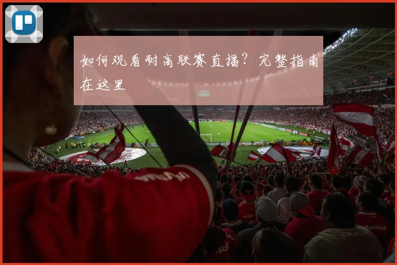 如何观看耐高联赛直播?完整指南在这里